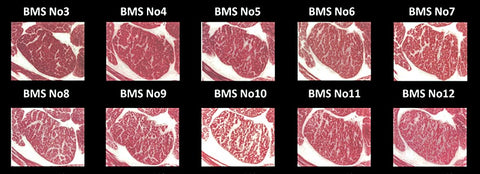 What is Wagyu Beef & How is Wagyu Beef Raised