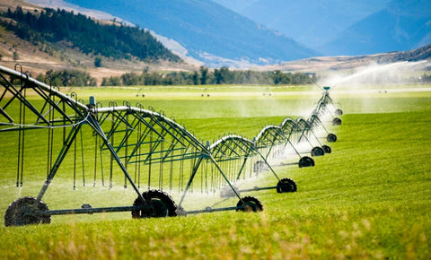 municipal-water-irrigation-on-western-us-cattle-farm-pasture