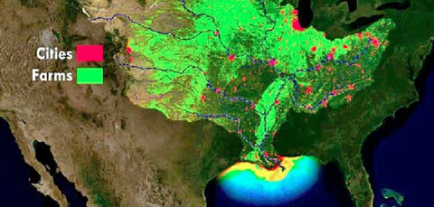 heavy-glyphosate-use-us-farms-australian-beef-vs-us-beef-differences