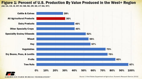 cattle-production-chart-western-usa-farm-production-us-beef-vs-australian-beef-differences