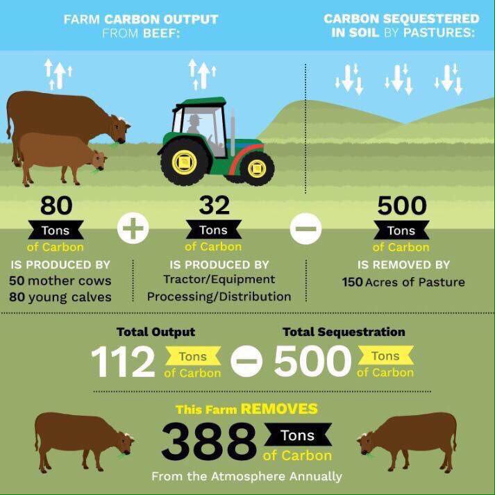 farming-system-regenerative-farming-carbon-sequestering