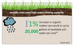 why-is-soil-important-water-retention