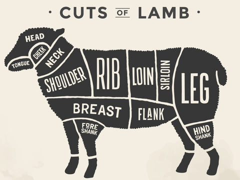 Lamb Chart