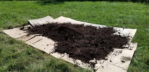 no-till-no-dig-cardboard-paper-mulch-growing-bed