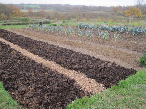 no-dig-raised-bed-growing-bed-layers-cardboard-compost-manure