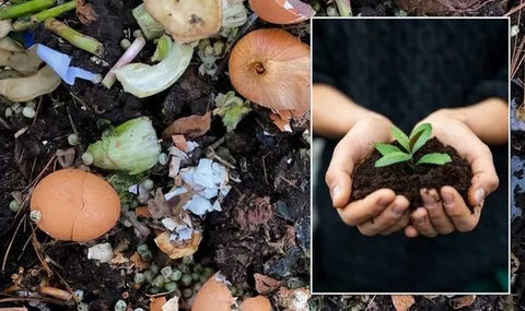 compost-for-no-till-no-dig-garden