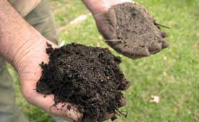 dirt-vs-top-soil-what-is-the-difference