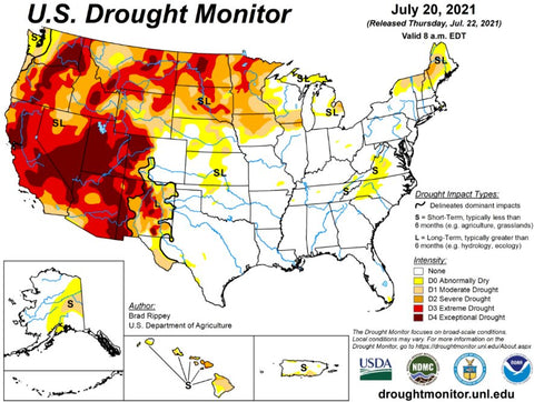 drought-western-us-affects-us-beef-farm-production