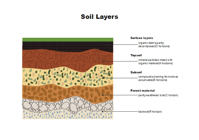 why-is-soil-important-soil-layers-diagram