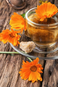 cleansing herb calendula