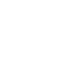 nootropic herbs brain health