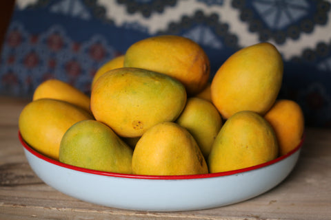 ripe mango alphonso indian mango