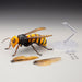 Kaiyodo Insect - Vespa Mandarinia (Asian Giant Hornet) Action Figure - Sure Thing Toys
