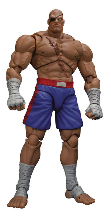 sagat figure