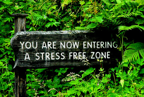 Becoming stress free