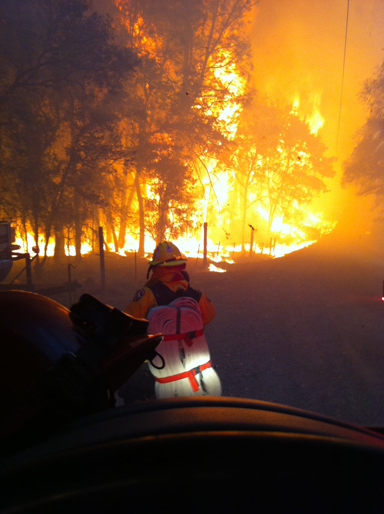 Forest fire in California