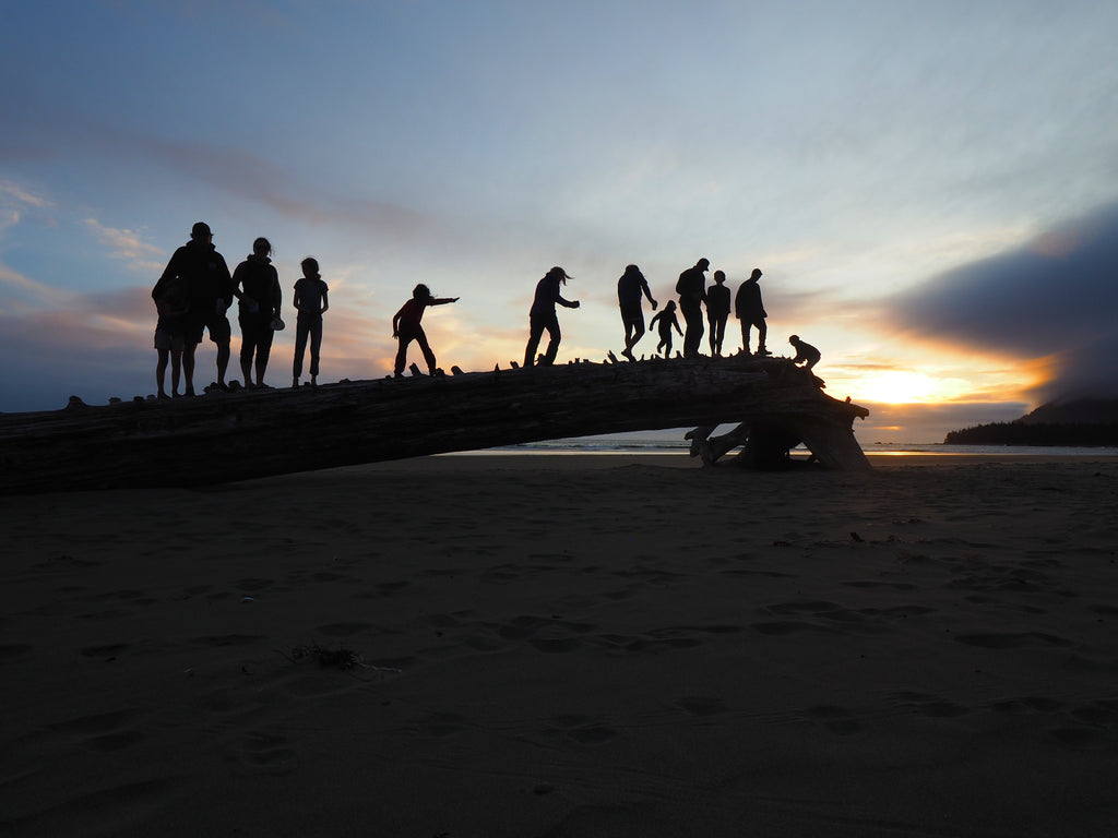 sunset silhouette of family standing on a drift log on the beach