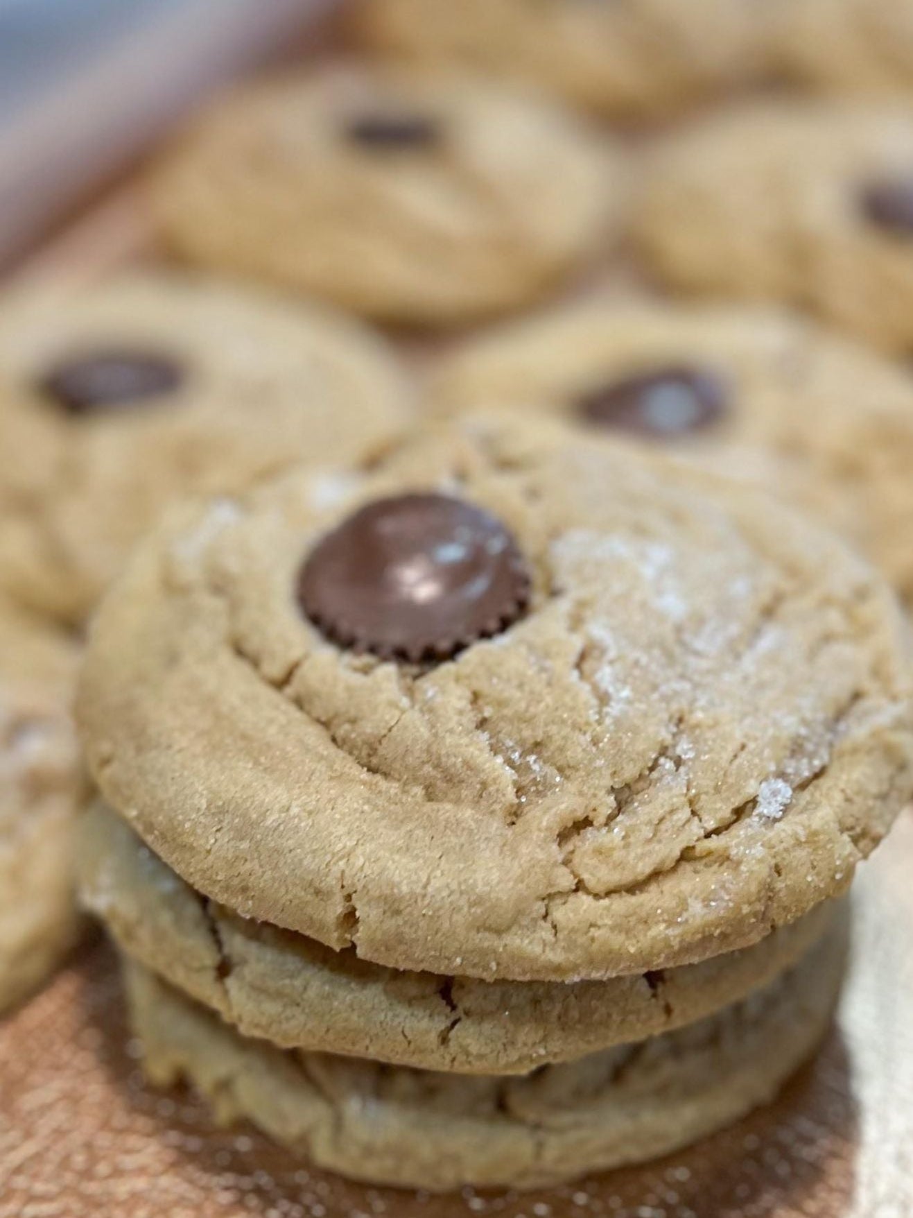 Peanut Butter Cookies-Half Size