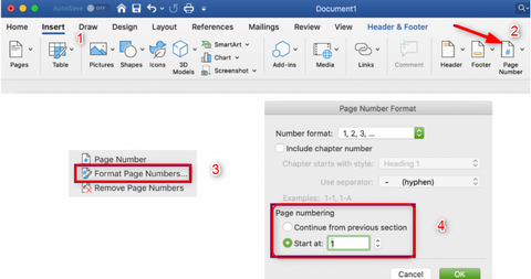 format page numbers in word
