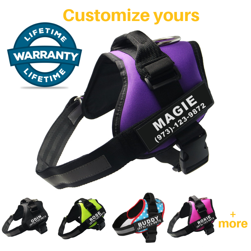 personalized dog harness