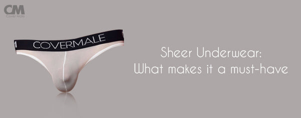 What's with Men's Sheer Underwear?