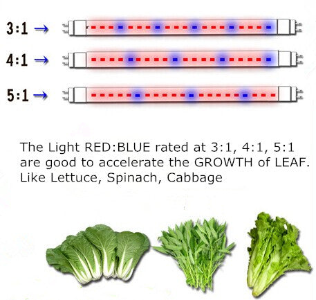 Red/Blue LED Grow Light - gathera