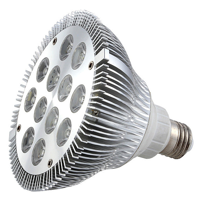 12W (12x1W) PAR38 Lamp with E27 Edison Screw 100-240V AC Silv – LightingWill