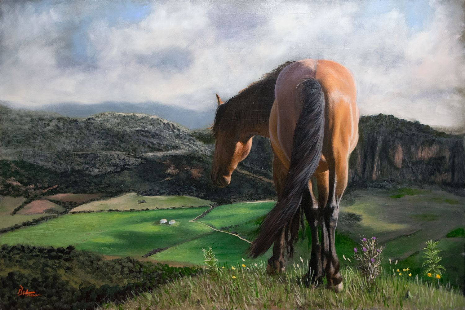 Horse