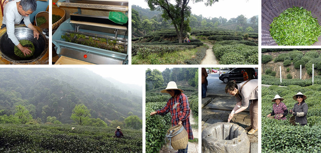 Zu Besuch bei Teebauern in Long Jing