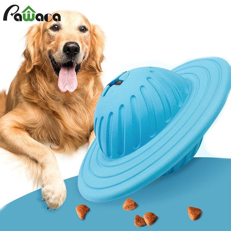 outdoor toys for large dogs