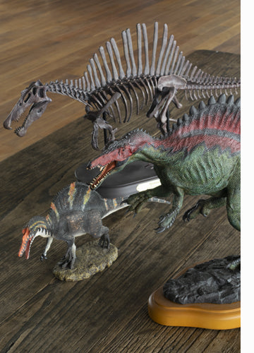 スピノサウルス骨格・頭骨