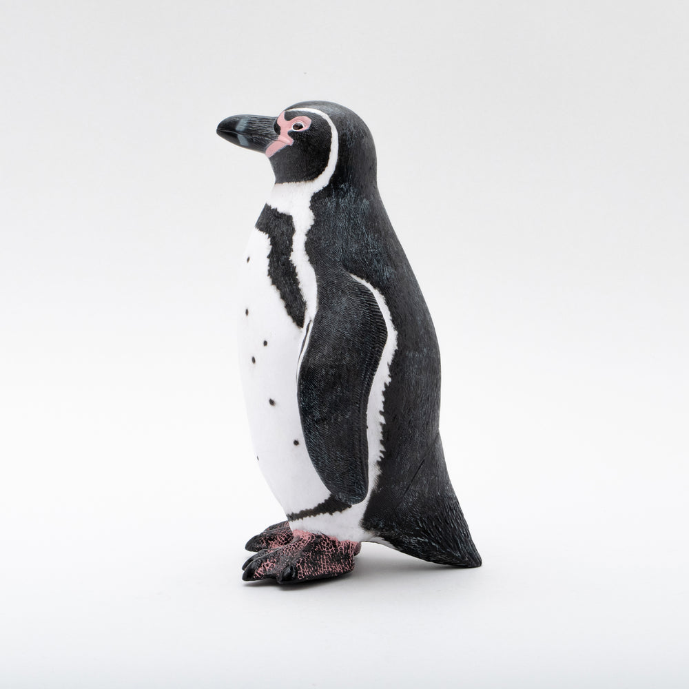 50 素晴らしいフンボルトペンギン 最高の花の画像