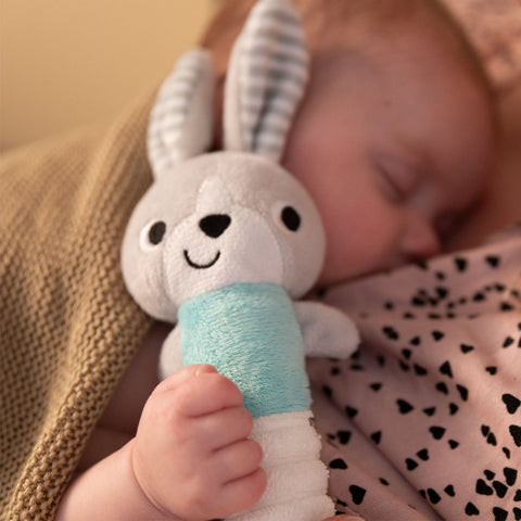 Chirping toy plus the Hey Bunny! Babyono for babies 1496