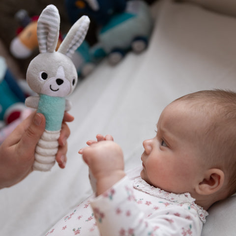 Chirping toy plus the Hey Bunny! Babyono for babies 1496