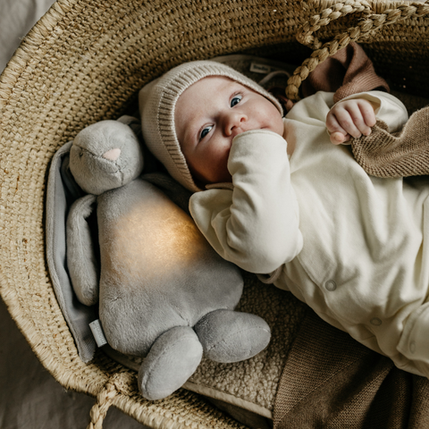 Bunny Musical Toy with Built-in Night Light Silver