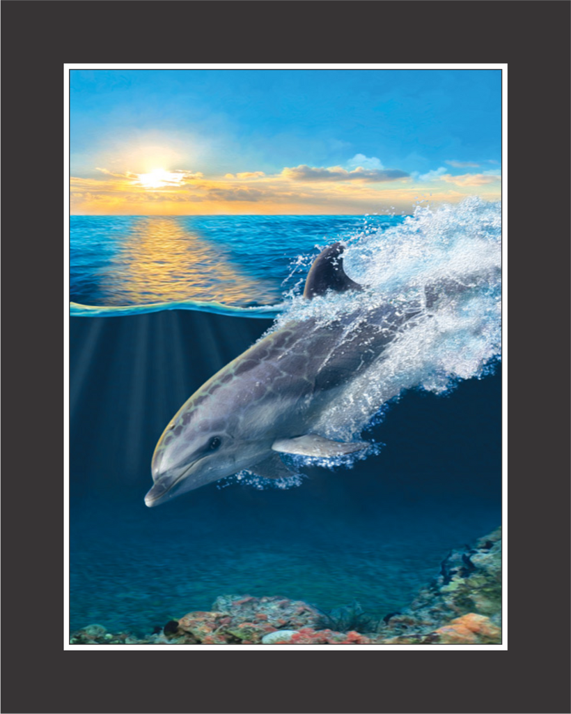 12+ Finest Dolphin wall art images info