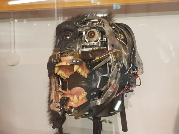 ROBOT MONKEY HEAD!