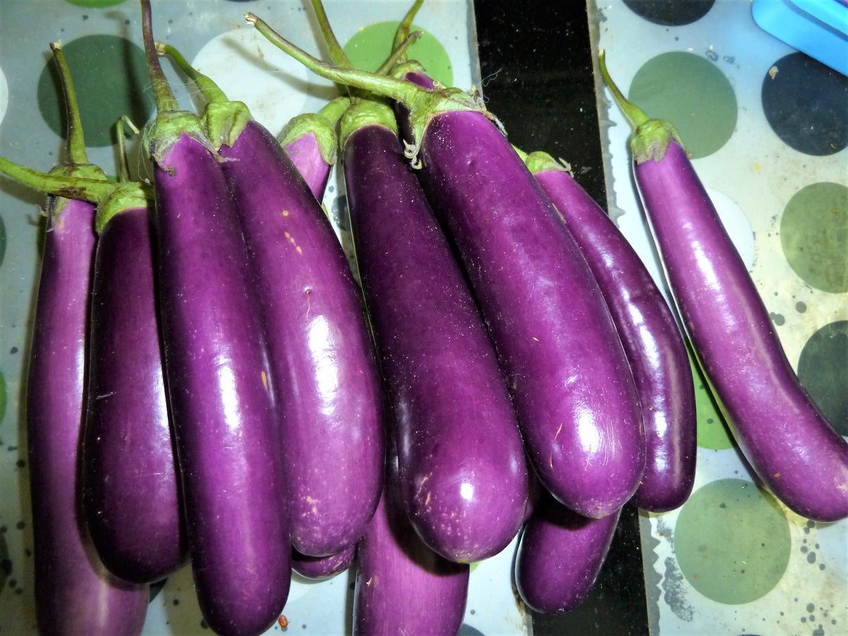 4. Dark purple or eggplant - wide 9