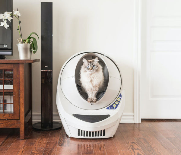 Automated litter box