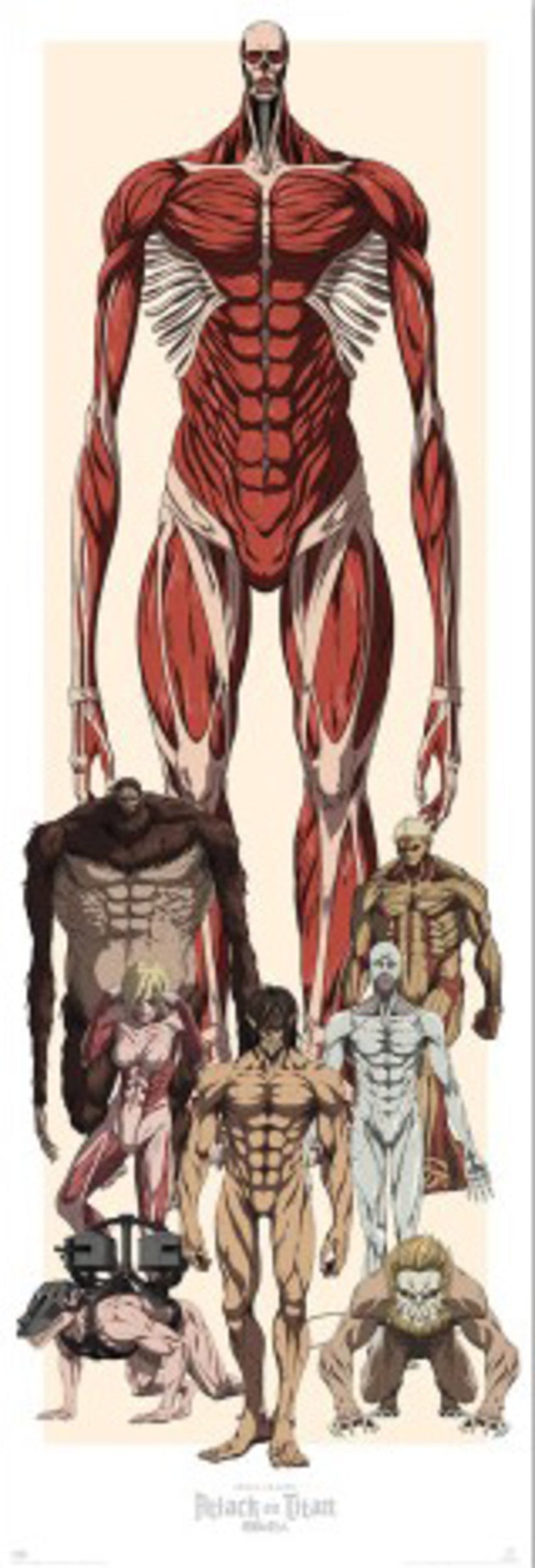 Poster Attack on Titan 53x158cm