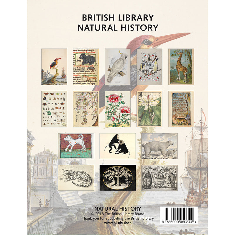 Illuminated Manuscripts Postcard Pack - British Library Online Shop