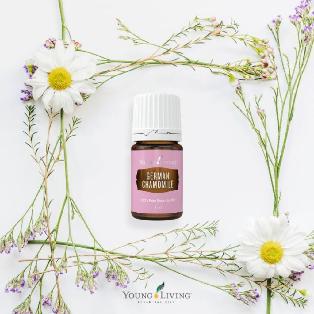 Young Living Roman Chamomile Essential Oil - 5ml – Essential Oil Life