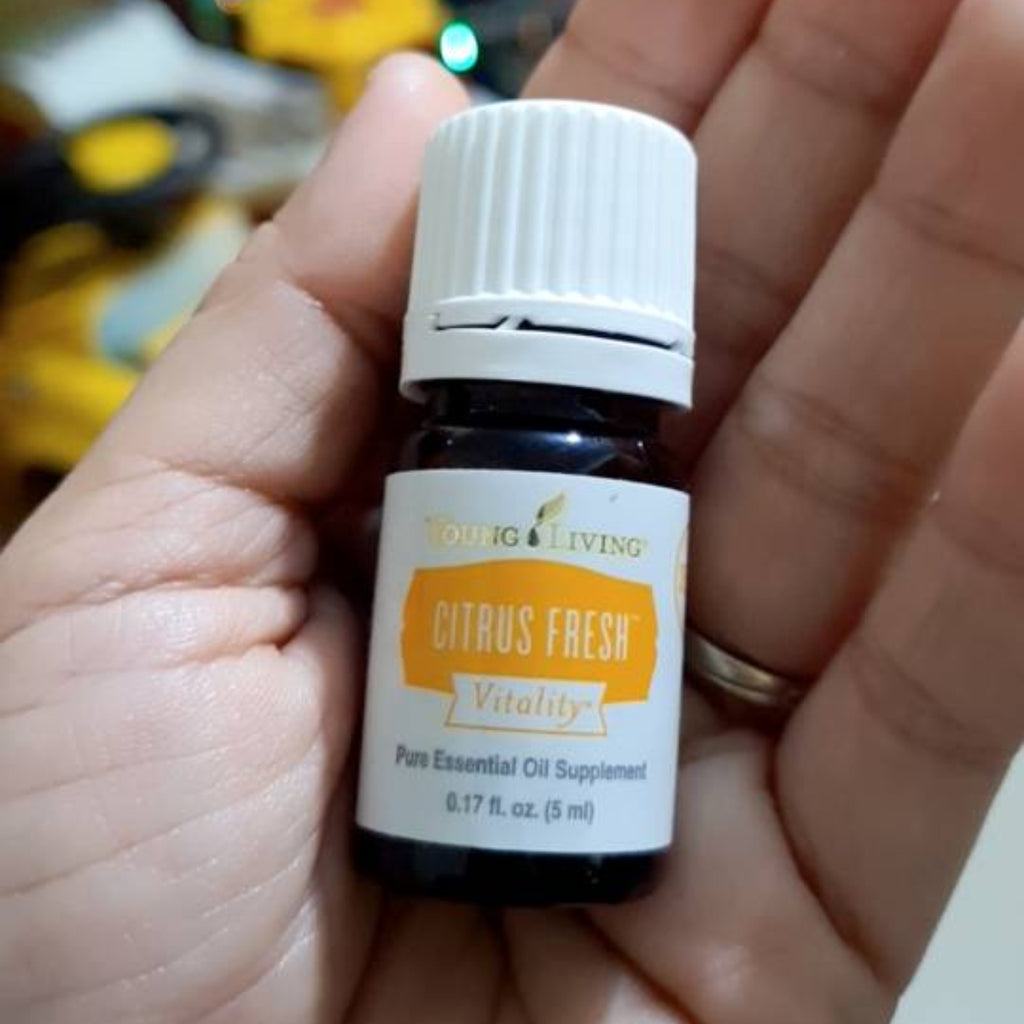 Young Living Citrus Fresh Essential Oil Blend - 15ml – Essential Oil Life