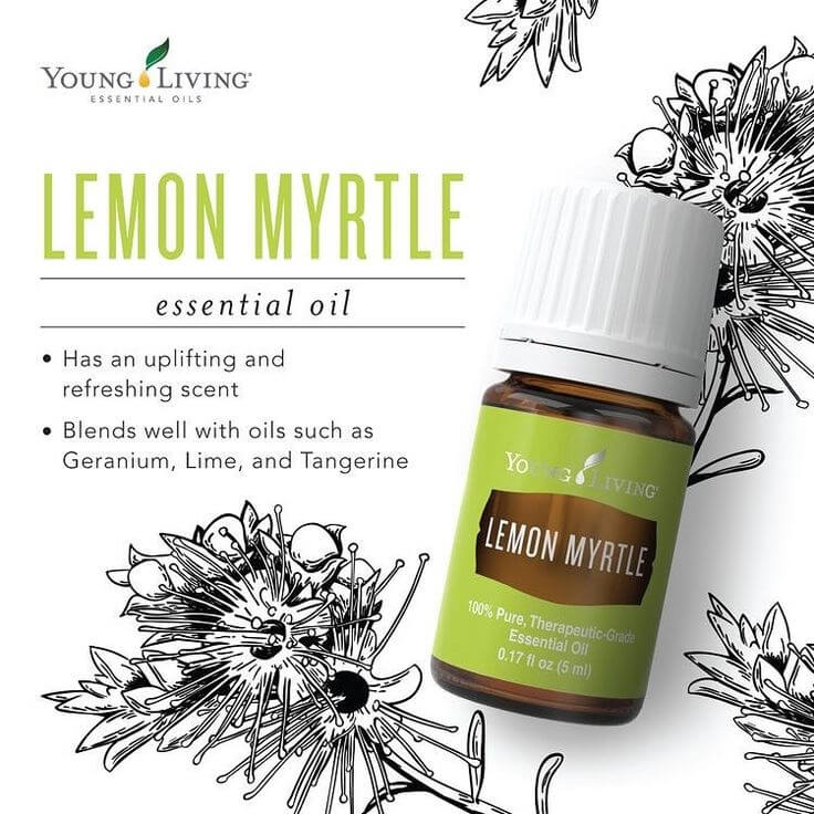 Essentially Stephanie - Meet your new favorite oil. Lemon Verbena! Lemon  Verbena is the newest oil in the Young Living product lineup! Lemon Verbena  contains antioxidants, purifies and refreshes the air when