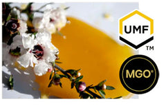 UMF & MGO comparison table of Manuka honey grading