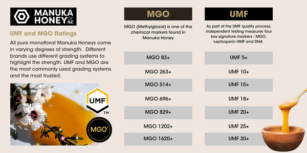 UMF MGO conversion table and Manuka Honey usage