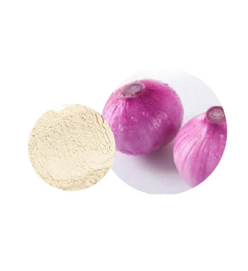 Organic Onion Powder Supplier | Manufacturer — Laybio