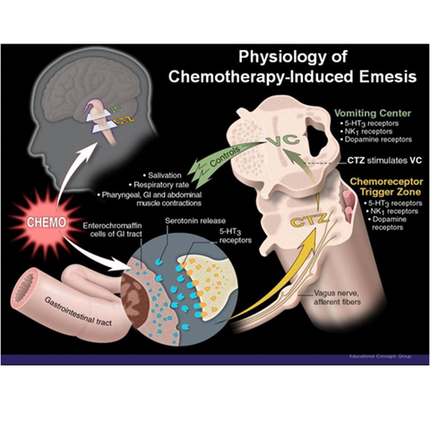 Physiology of chemotherapy-induced emesis mechanism of action nausea and vomiting
