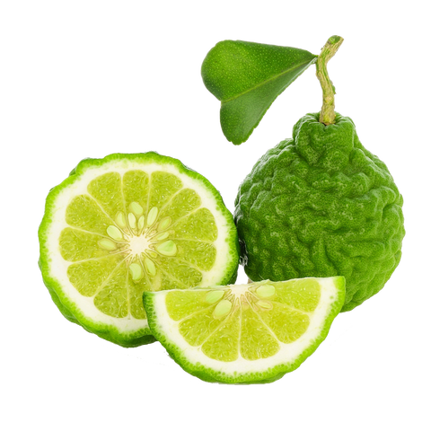 Bergamot essential oil for focus, attention, and cognitive function