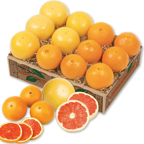 Golden Navel & Scarlet Red Navel Orange